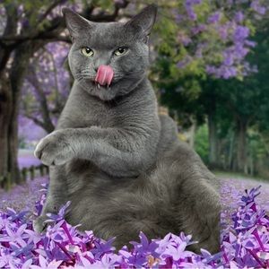 ⭐️SEND YOUR OFFERS⭐️